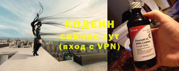 мдпв Ельня