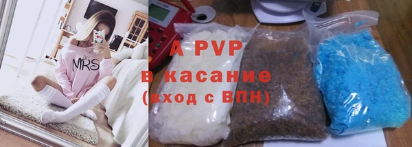 мдпв Ельня