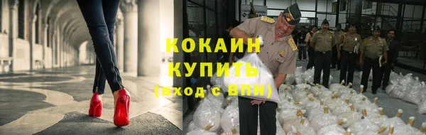 мдпв Ельня