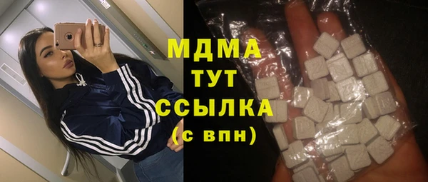 мдпв Ельня