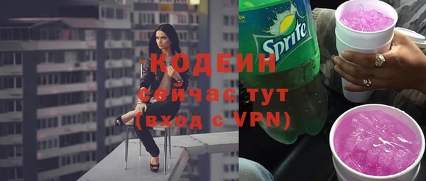 мдпв Ельня