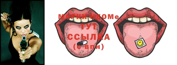 мдпв Ельня