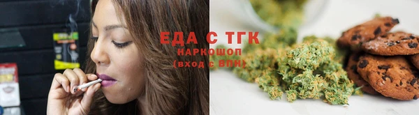 мдпв Ельня