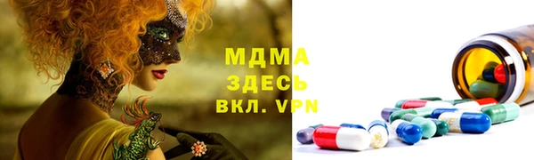 мдпв Ельня