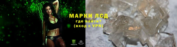 мдпв Ельня