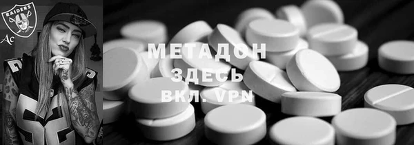 мдпв Ельня