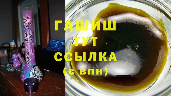 мдпв Ельня