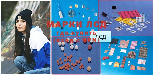 мдпв Ельня