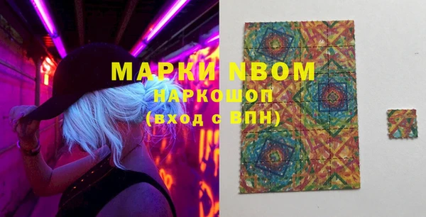 мдпв Ельня