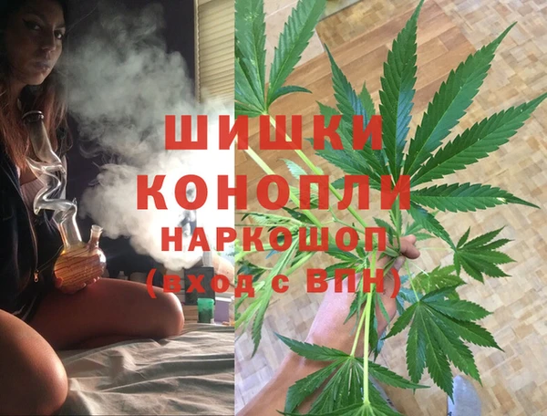 мдпв Ельня