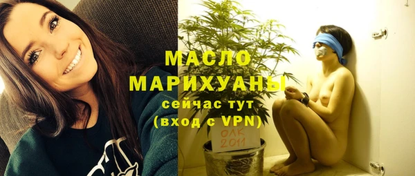 мдпв Ельня