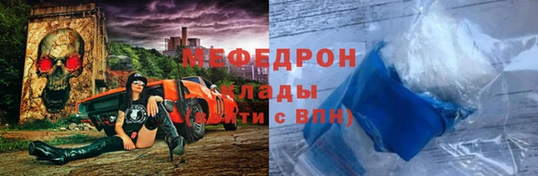 мдпв Ельня