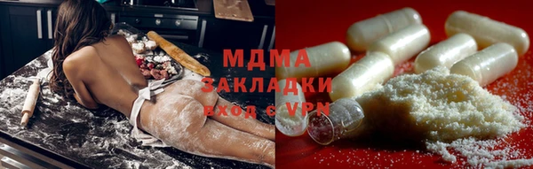 мдпв Ельня