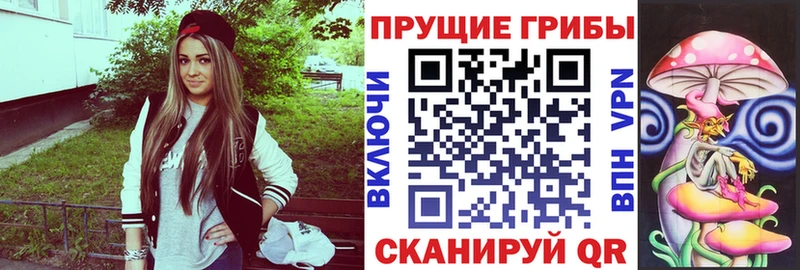закладка Яхрома Галлюциногенные грибы мухоморы